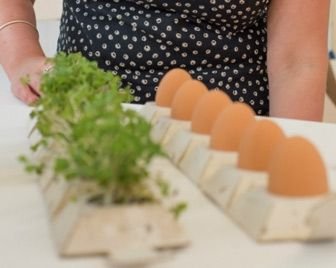 Оригинальная упаковка для яиц из картона
